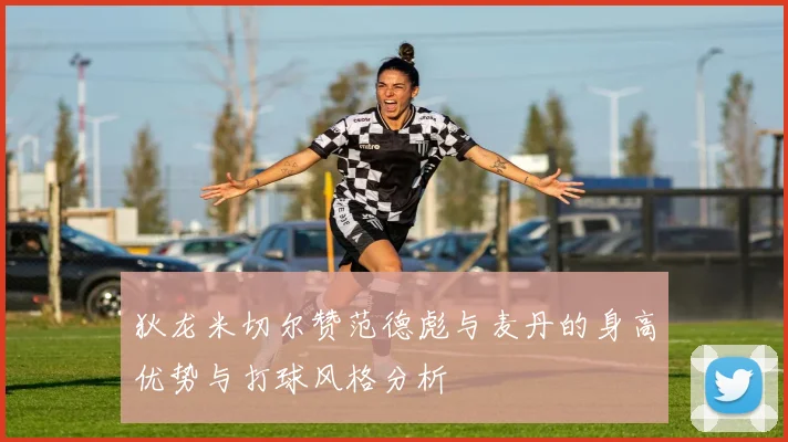 狄龙米切尔赞范德彪与麦丹的身高优势与打球风格分析