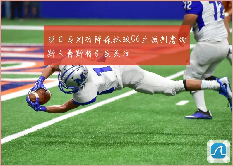 明日马刺对阵森林狼G6主裁判詹姆斯卡普斯将引发关注